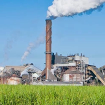 bearing for sugarcane mill