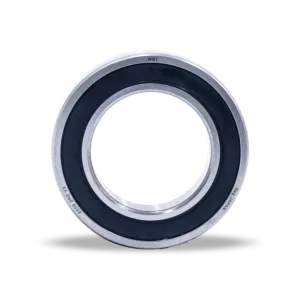 6009 2rs Deep Groove Ball Bearing